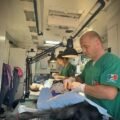 An animal hospital for hope – Aid project 190.