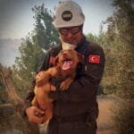 Brand in Turkijë – Extra hulpactie