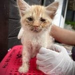 Hulpproject 195 – Kliniek op de Gili Eilanden